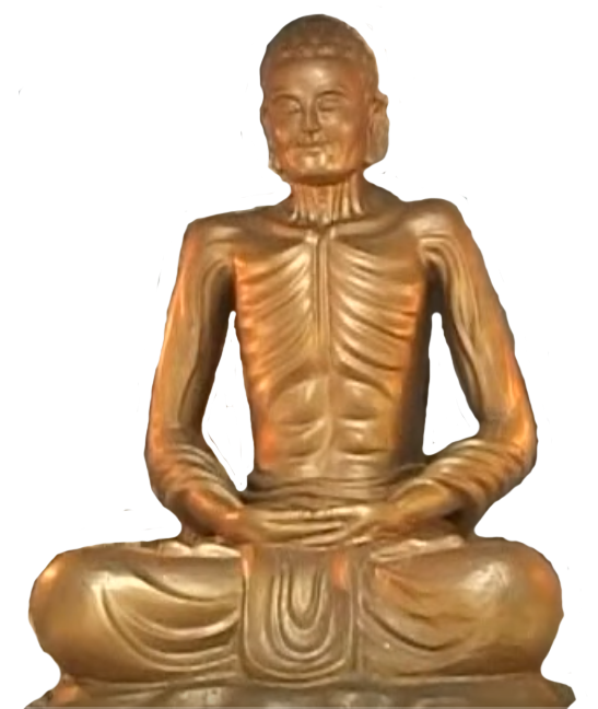 Tu hành đúng chánh Phật pháp